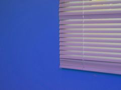 -ZING鲸鱼啤酒(葡萄院店)