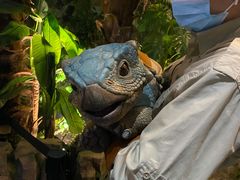 -侏罗纪世界电影特展(广州站)