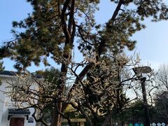 -苏州公园(双塔街道)