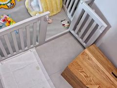 -多乐狗狗宠物训练工作室