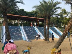 -宝安西湾红树林湿地公园