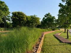 -上海山野camping·户外天幕烧烤·团建拓展营地