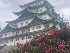 -名古屋城
