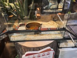 -酷嗒动物文化乐园(cutezoo西溪乐天城店)