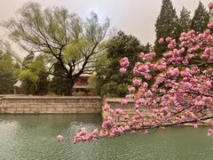 -颐和园