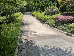 -徐家汇源景区-衡山公园