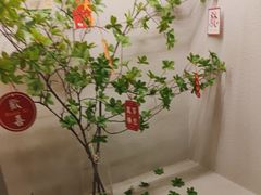 -沐SPA·坐忘山城·日式足道