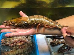 -ZF Seafood Restaurant 卓峰海鲜餐