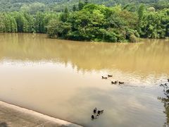 -滴水岩森林公园