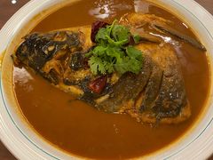 -鲁宴·鲁煨黄河生态大鲤鱼(月坛店)