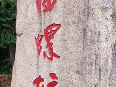 -南靖田螺坑土楼群景区