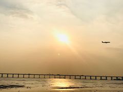 -宝安西湾红树林湿地公园