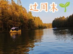 -上海海湾国家森林公园