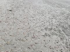 -江山半岛白浪滩景区