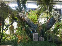 -国家植物园南园