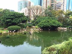 -九龙公园