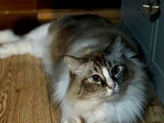 -白兔子密室(长寿路店)