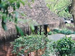 -中国茶叶博物馆(双峰馆区)