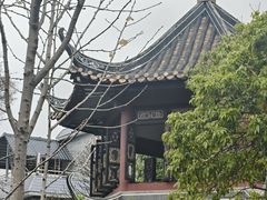 -碧江金楼