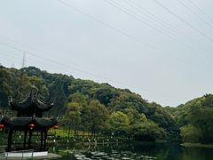 -忠山公园