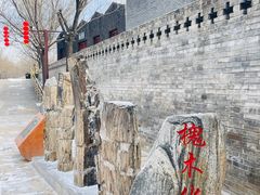 -大槐树寻根祭祖园