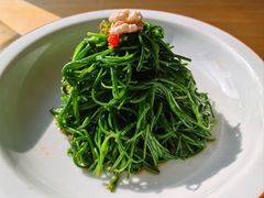 -蒙料·手把肉(望京店)