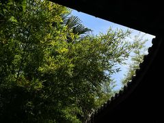 -棠湖公园