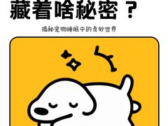 -美联众合动物医院·24h转诊中心