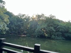 -白马涧龙池景区