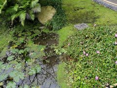 -微热山丘(台北民生公园门市店)