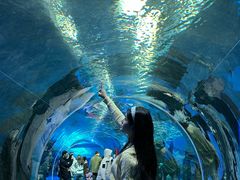 -哈尔滨波塞冬海底世界