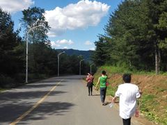 -黄椅山火山森林公园