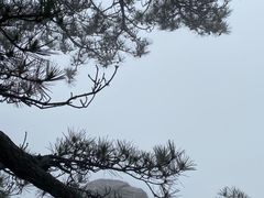 -庐山风景区花径公园