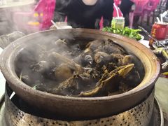 -霞姐屯昌枫木香草鸭店(海螺店)