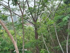 -南翠屏公园