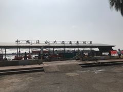 -大湾区中央湿地公园-十九涌