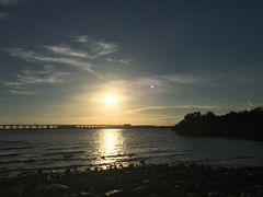 -宝安西湾红树林湿地公园