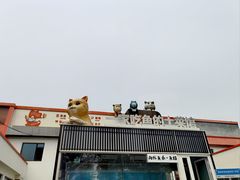 -向外鱼乐·土菜·虹鳟鱼