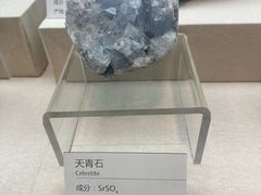 -浙江自然博物院(杭州馆)