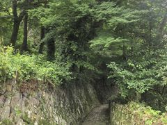 -莫干山风景区
