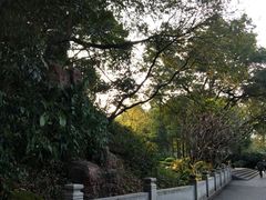 -晓港公园