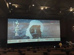 -太平洋影城(王府井店)