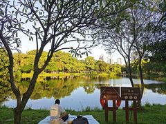 -莲花山公园
