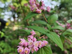 -共青国家森林公园-南大门停车场