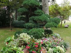 -上海虹桥迎宾馆