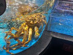 -徐记海鲜(大雁塔|金都店)
