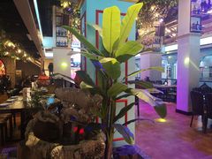-壹号院音乐餐厅•烤全羊•新疆菜(浐灞店)