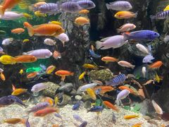 -太平洋海底世界