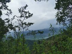 -玉苍山国家森林公园