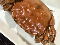 -麦德龙(浦东店)